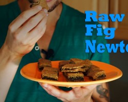 Fig Newtons: Raw Vegan Cookie Recipe