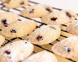 Lemon Blueberry Madeleine Recipe – Laura Vitale – Laura in the Kitchen Episode 797