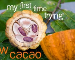 My first time trying raw cacao (and how it changed my life!)