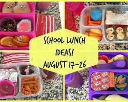 School Lunch Ideas! Back To School!