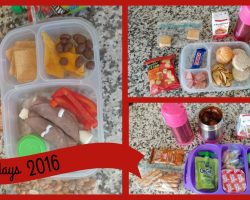 School Lunch Ideas! Back To School Ep.15 | Vlogidays 2016