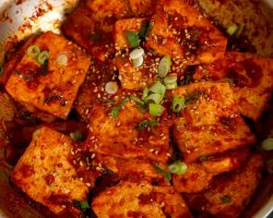 Spicy braised tofu (Dubu-jorim: 두부조림)