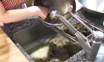 Aster Scaber side dish 취나물