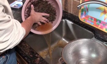 Recipe for Korean Gosari or Kosari Namul Sidedish 고사리