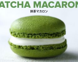 Matcha Macarons