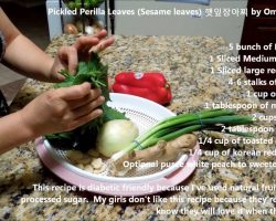 Pickled Perilla Leaves (Sesame Leaves) 깻잎장아찌 (Korean Side Dish) by Omma’s Kitchen