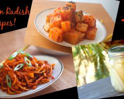 Korean Radish 3 Ways! Kimchi, Pickles and Side Dish Recipes