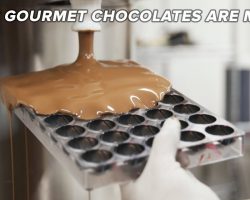 How Gourmet Chocolates Are Made • Tasty