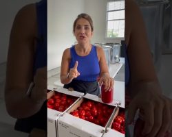 Choosing the right tomatoes is the first step in making the best sauce. #canning #preserving