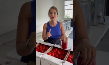 Choosing the right tomatoes is the first step in making the best sauce. #canning #preserving