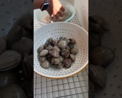 How to easily clean your clams out of any sand or grit!