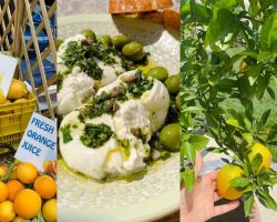 Live: Tasty Thursday – Life is Full of Lemons! – w/ Laura Vitale Episode 9