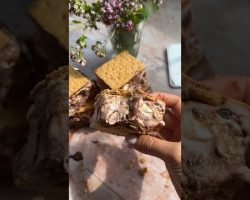 S’mores ice cream sandwich! So easy and not even a recipe but a must make! #recipe