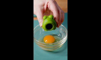 Testing Kitchen Gadgets – Egg Yolk Animals