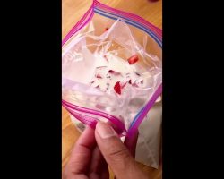 Ice Cream In A Bag