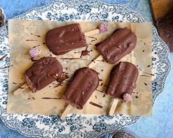 Chocolate Fudge Pops