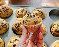 The Best Chocolate Chip Muffins Ever!!
