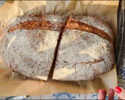 Crusty Bread Recipe – NO Dutch Oven-NO Sourdough!