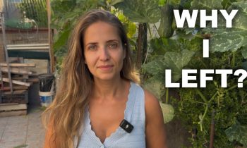 Why You Don’t See Me Anymore